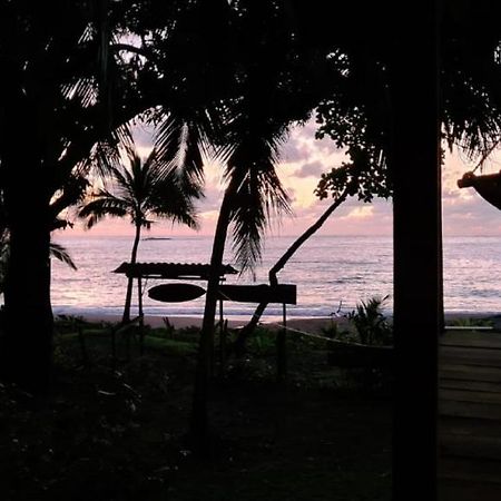 Life For Life Hostel Drake Bay Home Of Sea Turtle Marine Conservation Project Osa Peninsula Near San Josecito Beach Eksteriør billede