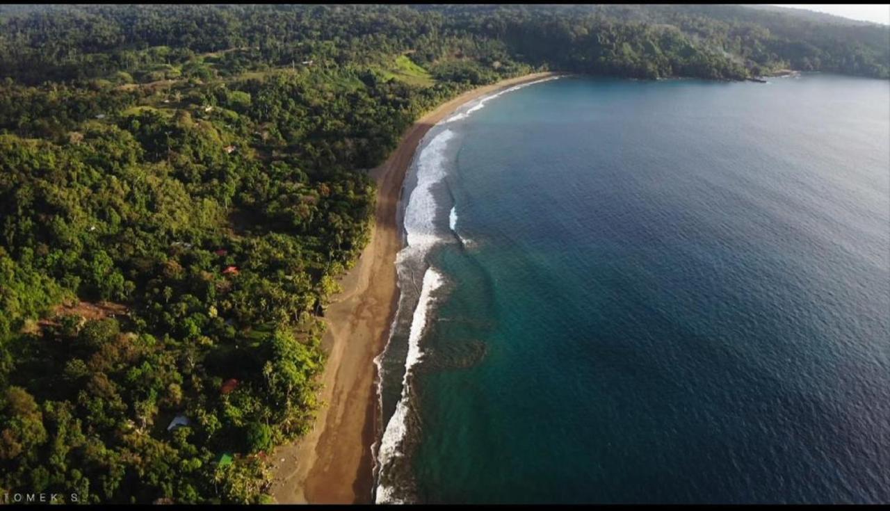 Life For Life Hostel Drake Bay Home Of Sea Turtle Marine Conservation Project Osa Peninsula Near San Josecito Beach Eksteriør billede