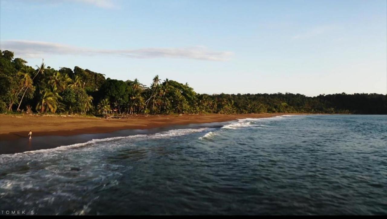Life For Life Hostel Drake Bay Home Of Sea Turtle Marine Conservation Project Osa Peninsula Near San Josecito Beach Eksteriør billede