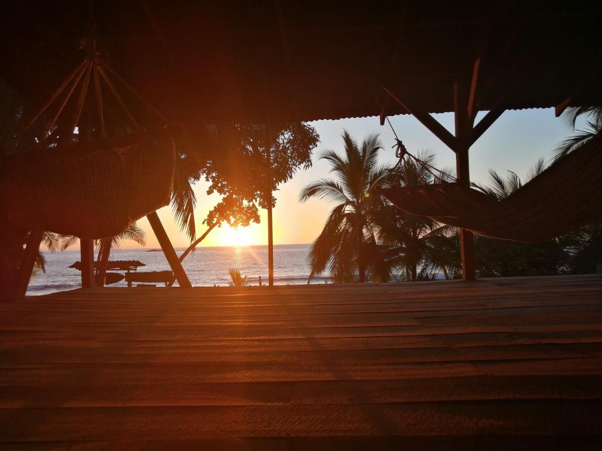 Life For Life Hostel Drake Bay Home Of Sea Turtle Marine Conservation Project Osa Peninsula Near San Josecito Beach Eksteriør billede