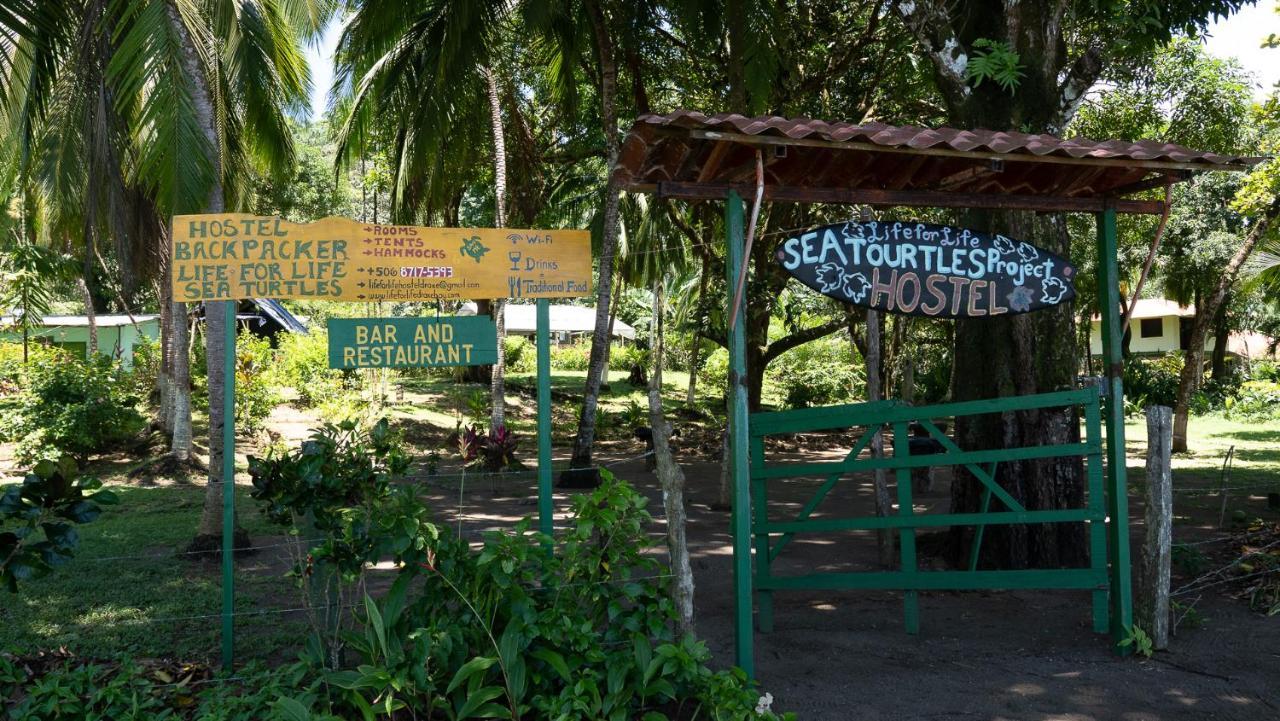 Life For Life Hostel Drake Bay Home Of Sea Turtle Marine Conservation Project Osa Peninsula Near San Josecito Beach Eksteriør billede