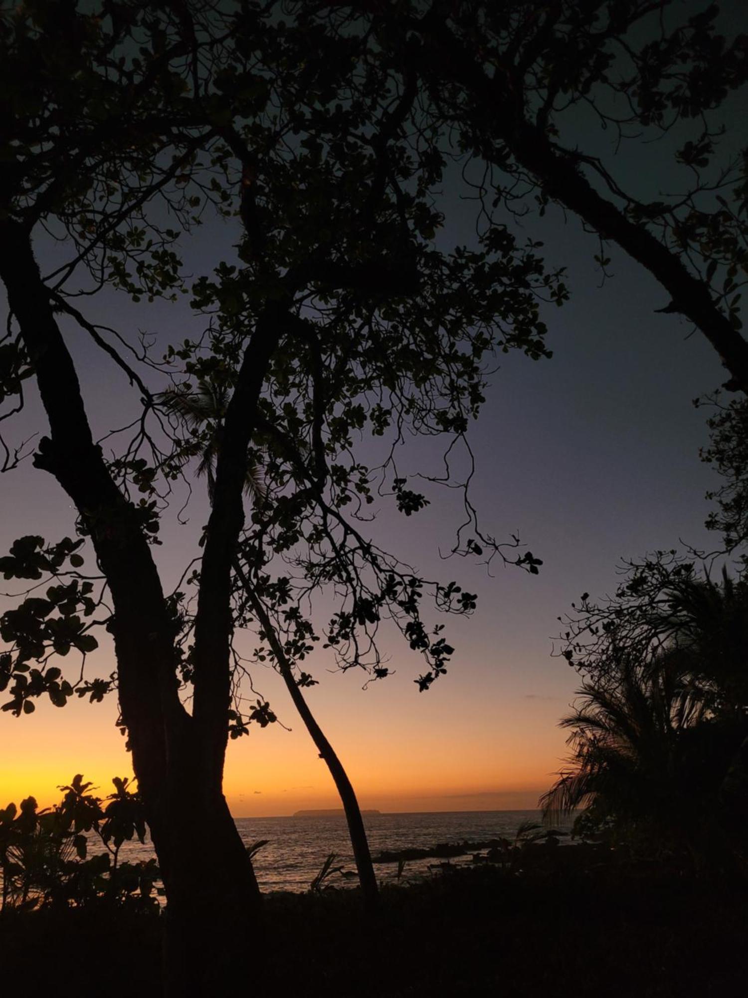 Life For Life Hostel Drake Bay Home Of Sea Turtle Marine Conservation Project Osa Peninsula Near San Josecito Beach Eksteriør billede