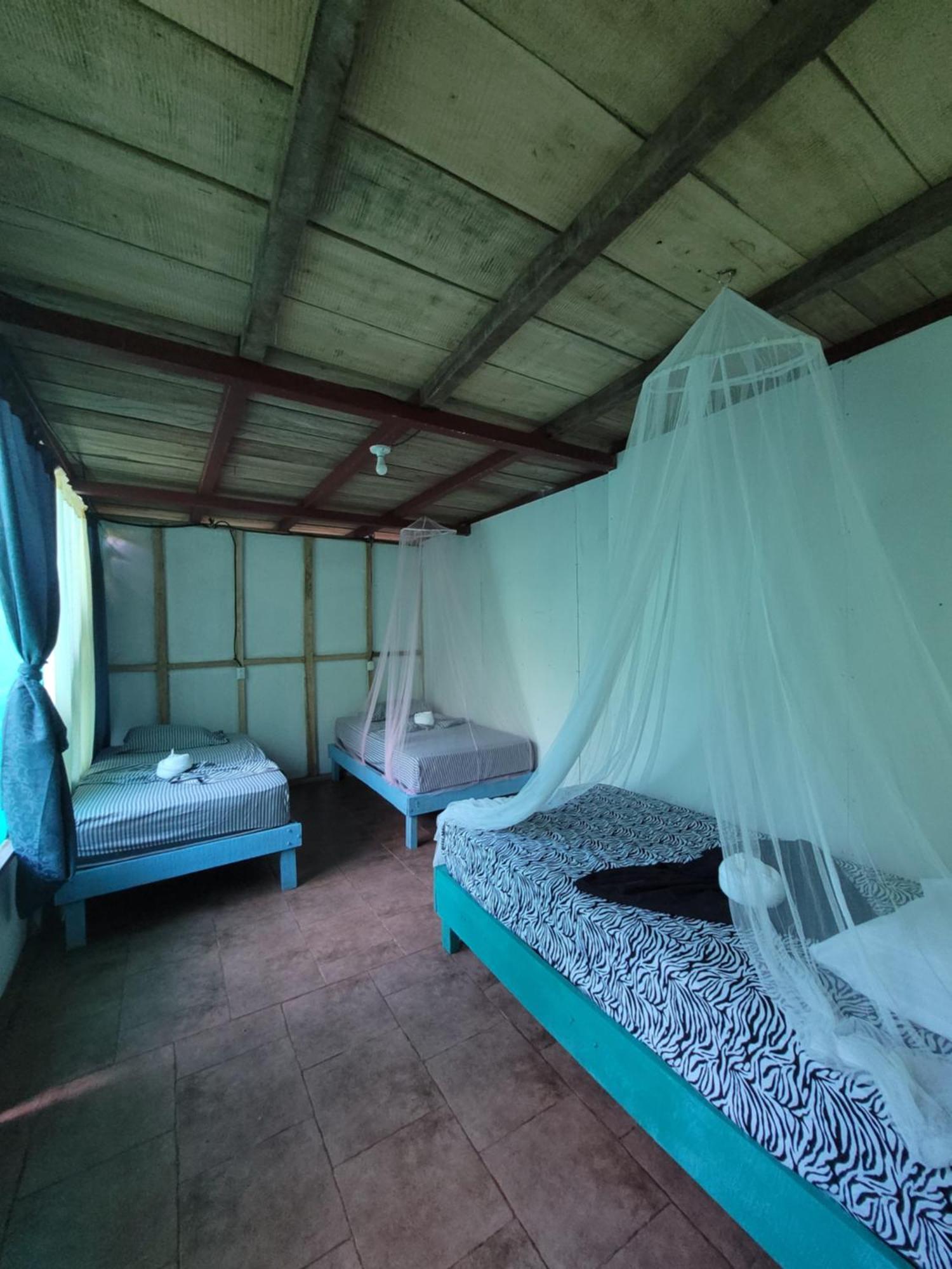 Life For Life Hostel Drake Bay Home Of Sea Turtle Marine Conservation Project Osa Peninsula Near San Josecito Beach Eksteriør billede