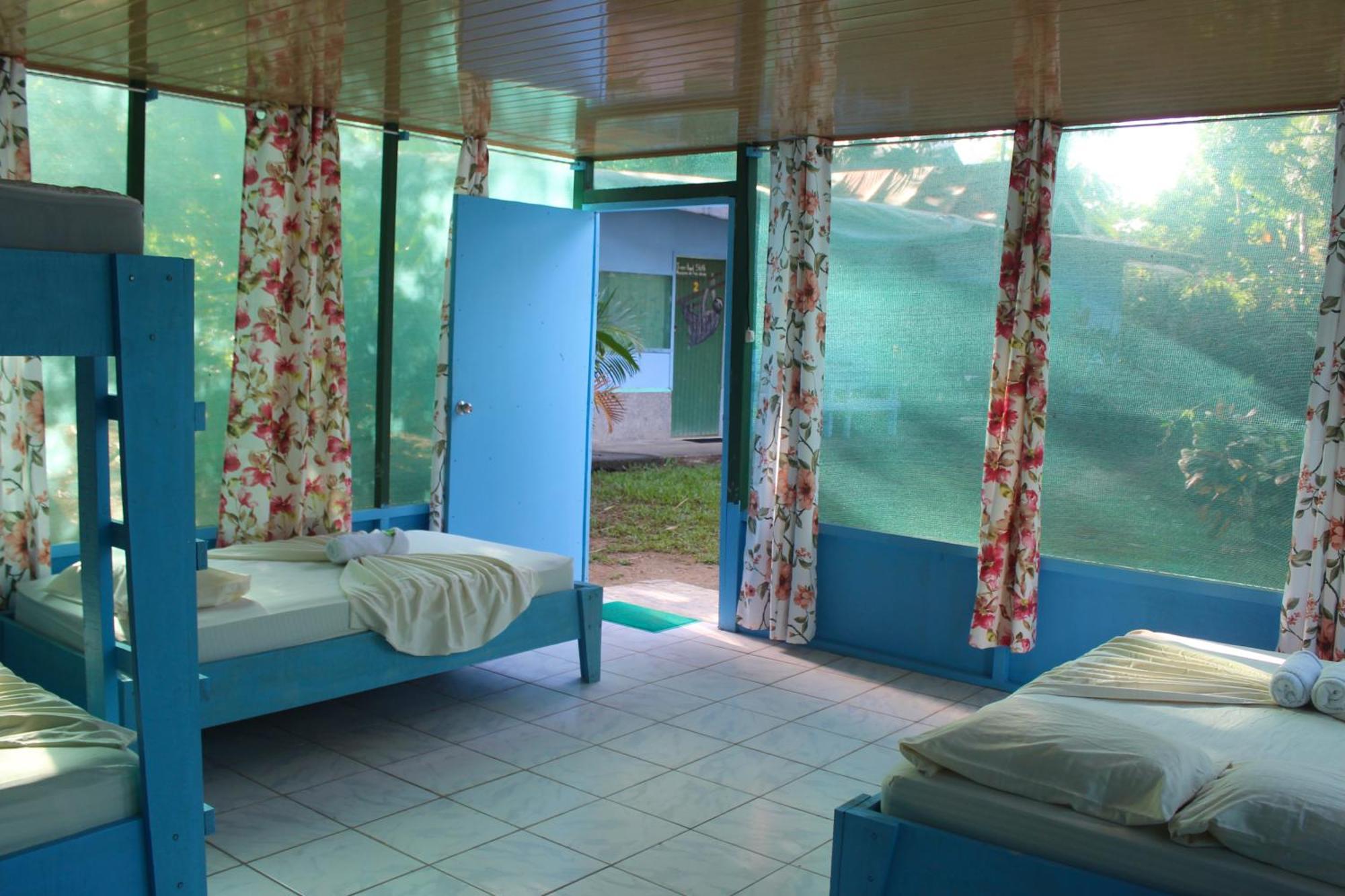 Life For Life Hostel Drake Bay Home Of Sea Turtle Marine Conservation Project Osa Peninsula Near San Josecito Beach Eksteriør billede