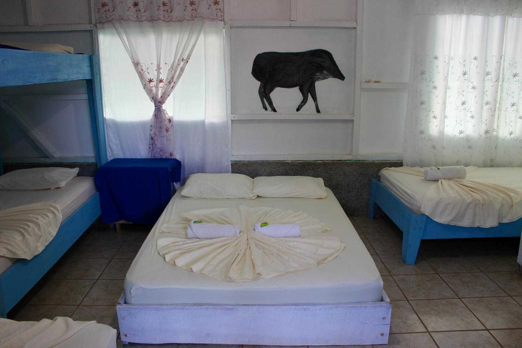 Life For Life Hostel Drake Bay Home Of Sea Turtle Marine Conservation Project Osa Peninsula Near San Josecito Beach Eksteriør billede