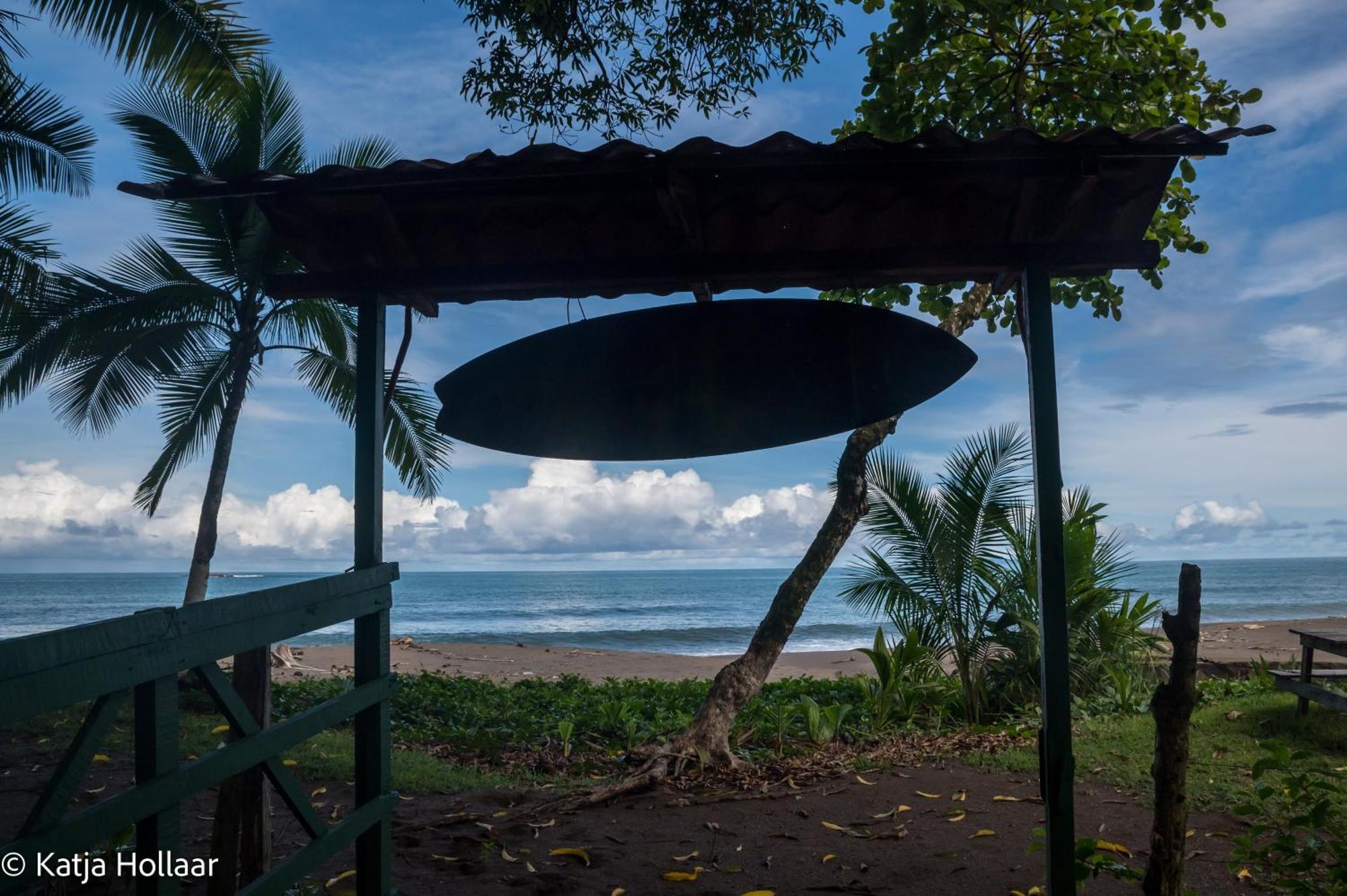 Life For Life Hostel Drake Bay Home Of Sea Turtle Marine Conservation Project Osa Peninsula Near San Josecito Beach Eksteriør billede