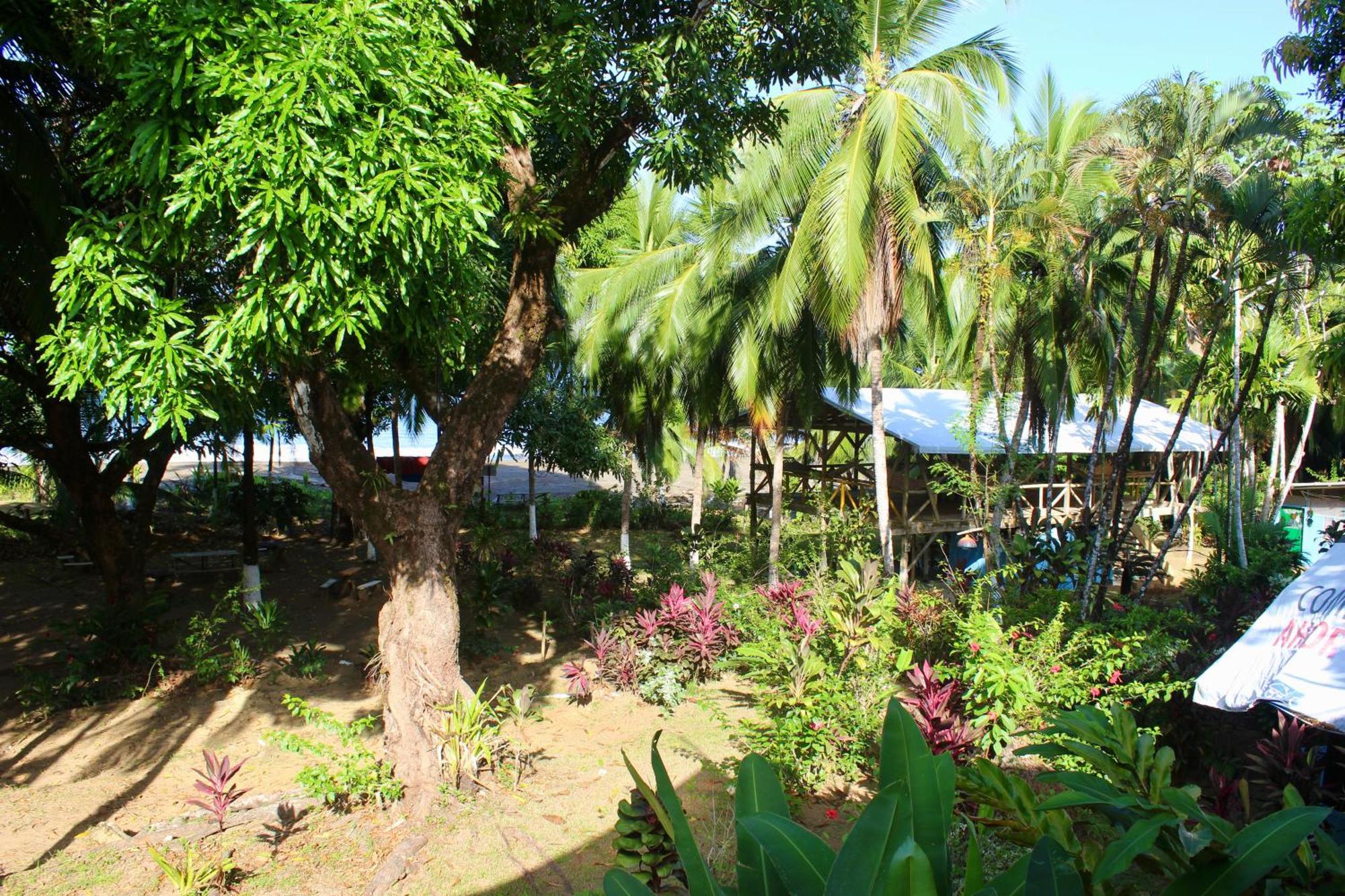 Life For Life Hostel Drake Bay Home Of Sea Turtle Marine Conservation Project Osa Peninsula Near San Josecito Beach Eksteriør billede