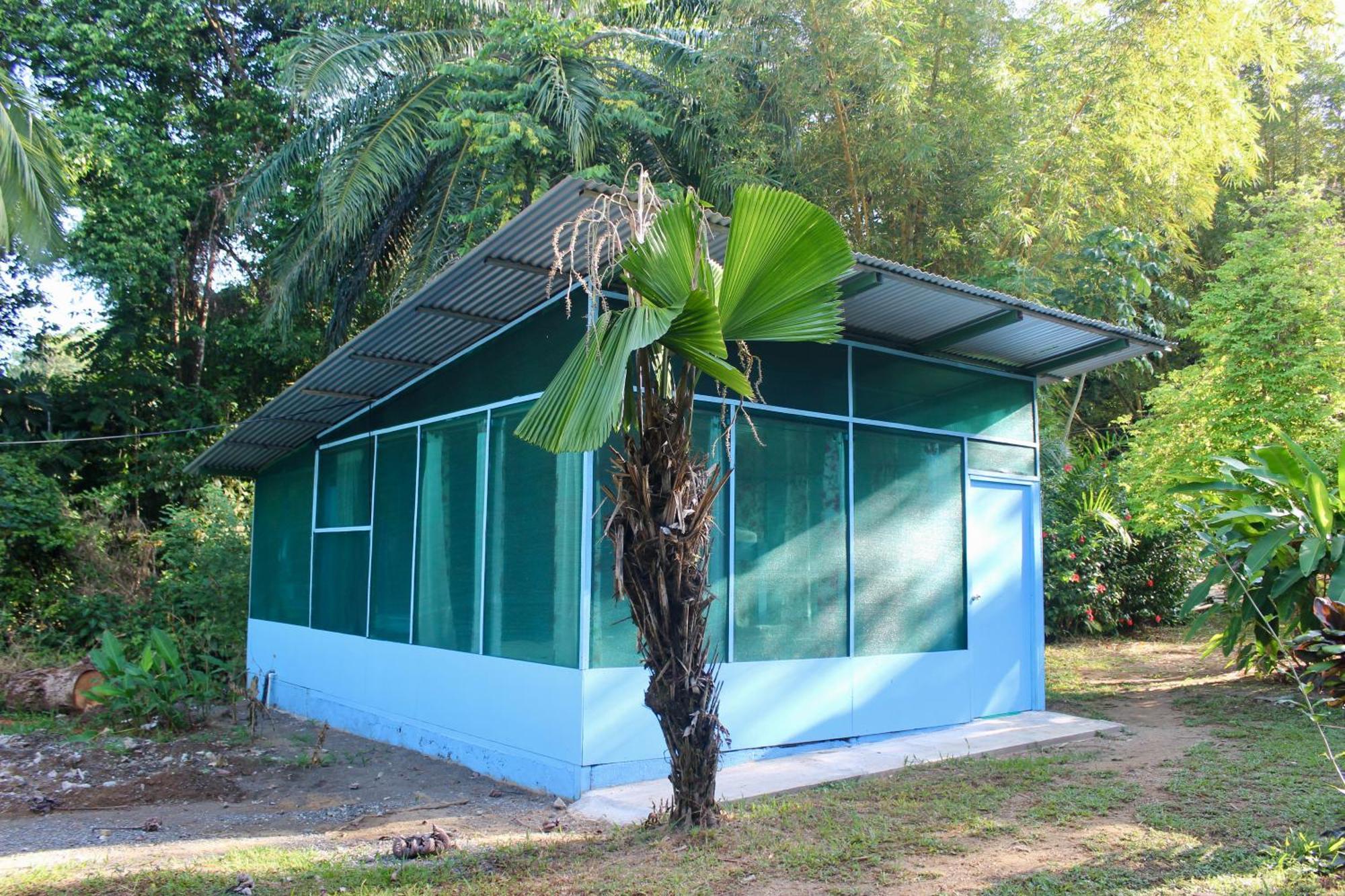 Life For Life Hostel Drake Bay Home Of Sea Turtle Marine Conservation Project Osa Peninsula Near San Josecito Beach Eksteriør billede